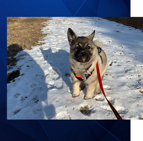 Individual and Family Planning baby Siggy in snow